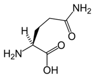 L-glutamine trong Keto Diet